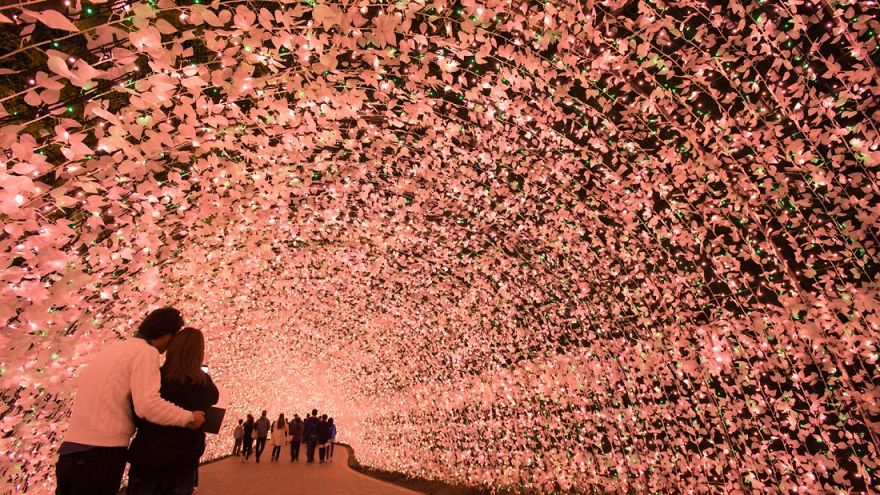 Japan Hosts Winter Light Festival And The Results Are Astounding Japan Hosts Winter Light Festival And The Results Are Astounding
