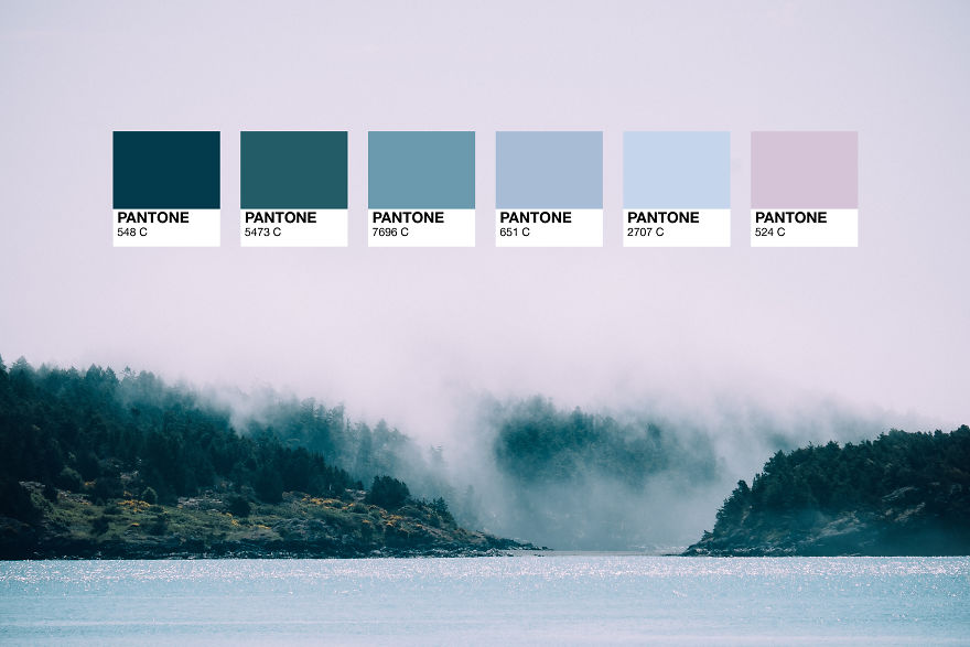 It’s All In Your Mind It’s All In Your Mind