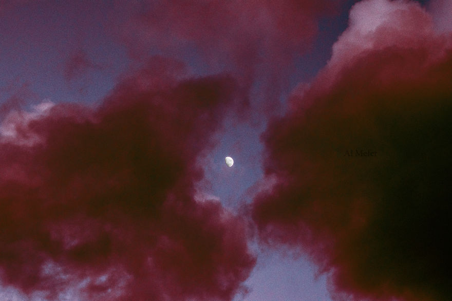 Sleepwalking In Outer Space – My Aesthetic Vision Of Nature Sleepwalking In Outer Space – My Aesthetic Vision Of Nature