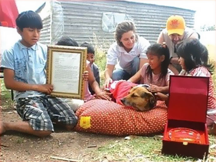 64 Times Dogs Surprised Humans With Their Incredibly Heroic Acts