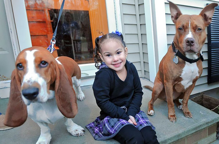 64 Times Dogs Surprised Humans With Their Incredibly Heroic Acts