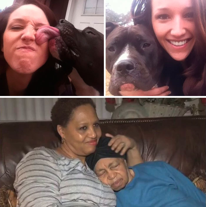 64 Times Dogs Surprised Humans With Their Incredibly Heroic Acts