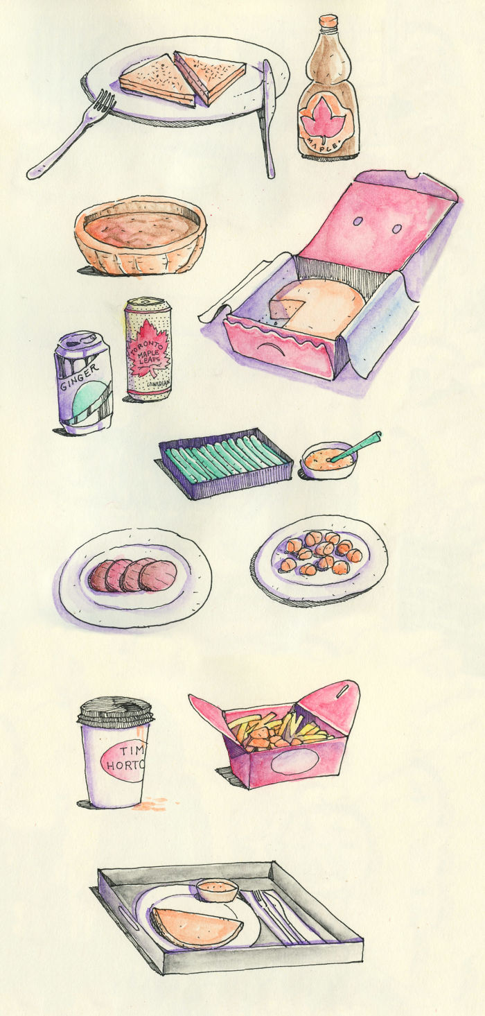 Guy Travels To Toronto To Meet His Long Distance GF For The First Time, Illustrates Every Moment Of It