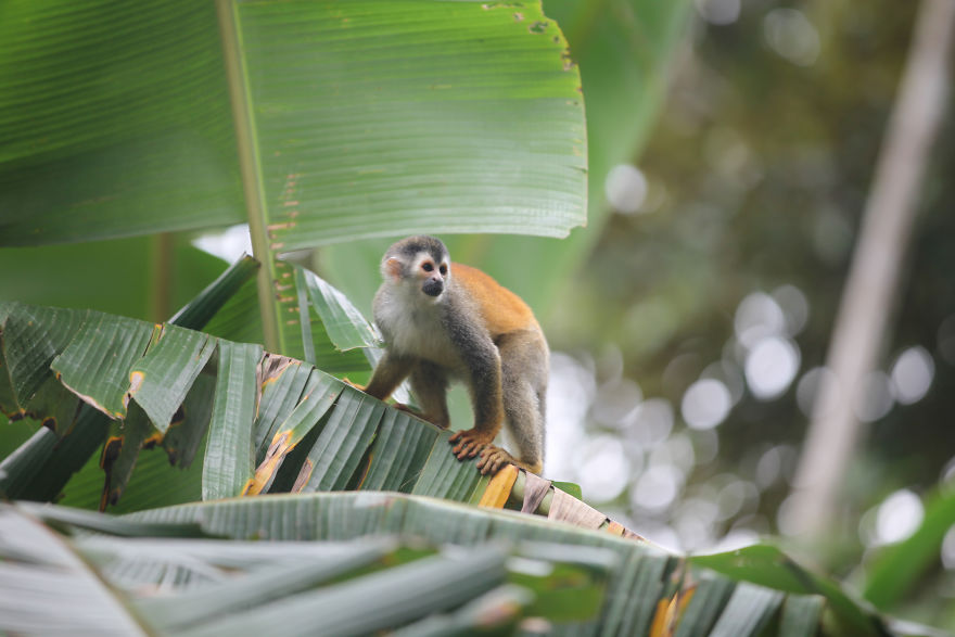 Why I’m Taking My 8 Year Old Daughter With Autism To The Forests Of The World Why I’m Taking My 8 Year Old Daughter With Autism To The Forests Of The World