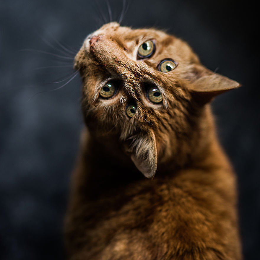 I Make Surreal And Dreamy Artworks That Explore Psychological Mindfalls (Part 2) I Make Surreal And Dreamy Artworks That Explore Psychological Mindfalls (Part 2)