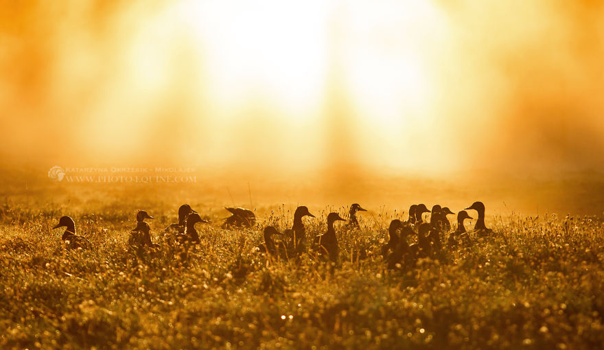 I Was Blessed To Be In The Right Place At The Right Time To Take These Pictures I Was Blessed To Be In The Right Place At The Right Time To Take These Pictures