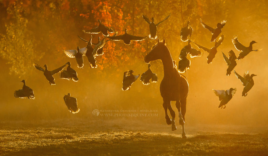 I Was Blessed To Be In The Right Place At The Right Time To Take These Pictures I Was Blessed To Be In The Right Place At The Right Time To Take These Pictures