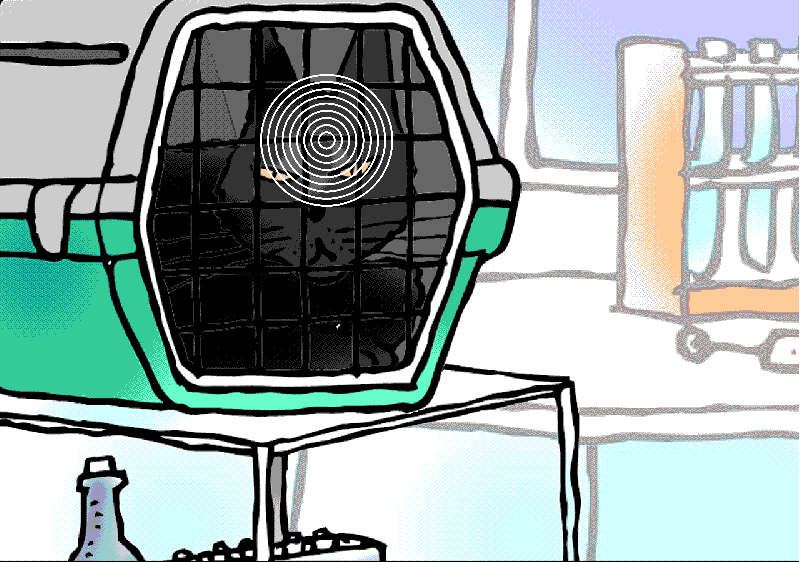 A Romanian Kitten Is Playing A Key Role In Brexit Negociations A Romanian Kitten Is Playing A Key Role In Brexit Negociations