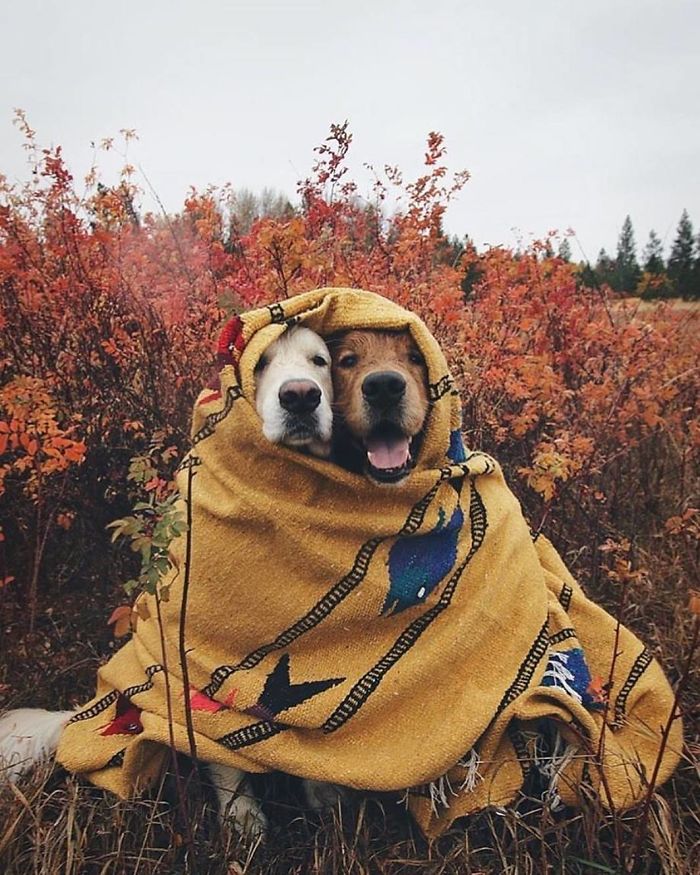 308 Pics From &#8216;Project Van Life&#8217; Instagram That Will Make You Wanna Quit Your Job And Travel The World