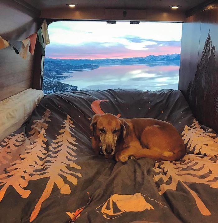 308 Pics From &#8216;Project Van Life&#8217; Instagram That Will Make You Wanna Quit Your Job And Travel The World