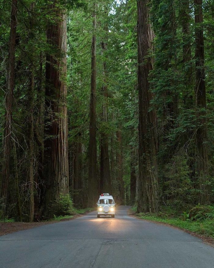 308 Pics From &#8216;Project Van Life&#8217; Instagram That Will Make You Wanna Quit Your Job And Travel The World