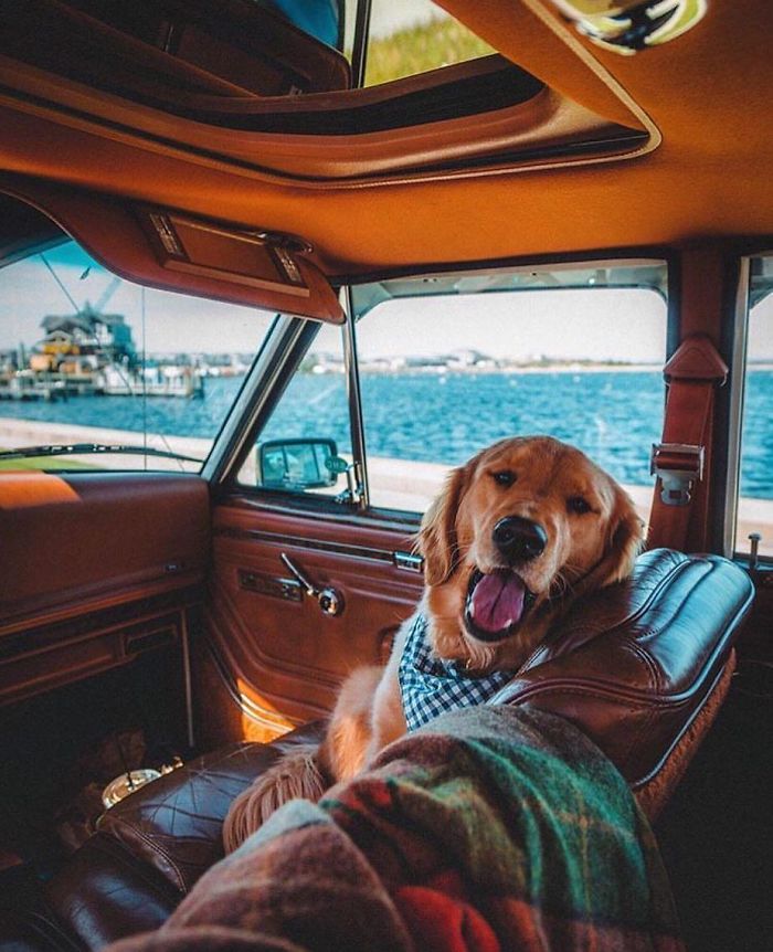 308 Pics From &#8216;Project Van Life&#8217; Instagram That Will Make You Wanna Quit Your Job And Travel The World