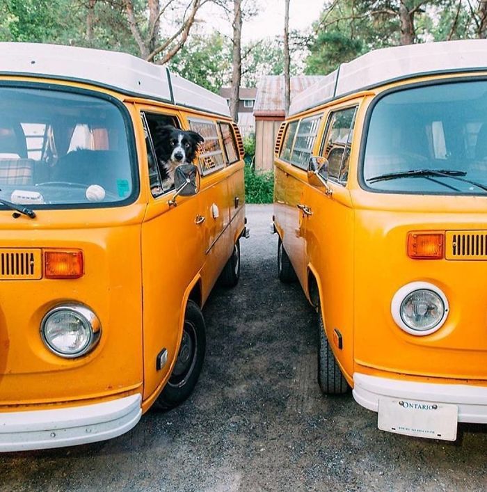 308 Pics From &#8216;Project Van Life&#8217; Instagram That Will Make You Wanna Quit Your Job And Travel The World