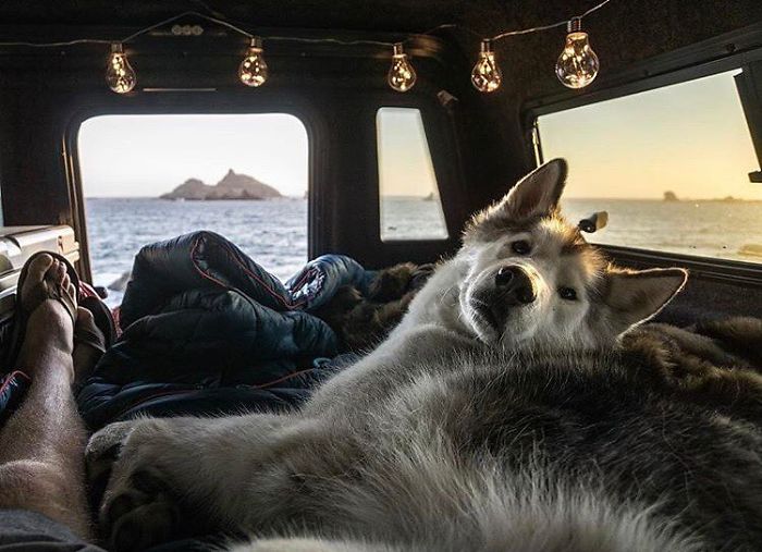 308 Pics From &#8216;Project Van Life&#8217; Instagram That Will Make You Wanna Quit Your Job And Travel The World