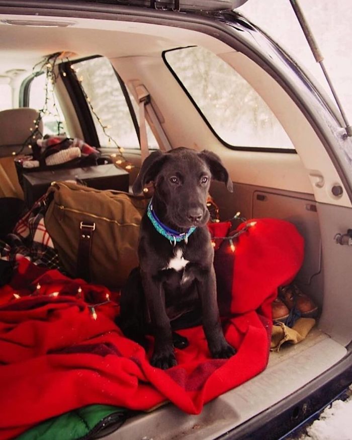 308 Pics From &#8216;Project Van Life&#8217; Instagram That Will Make You Wanna Quit Your Job And Travel The World