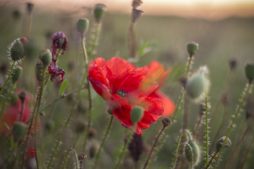 We Moved To Live In The Worst Place In England, And Here’s What It’s Like We Moved To Live In The Worst Place In England, And Here’s What It’s Like