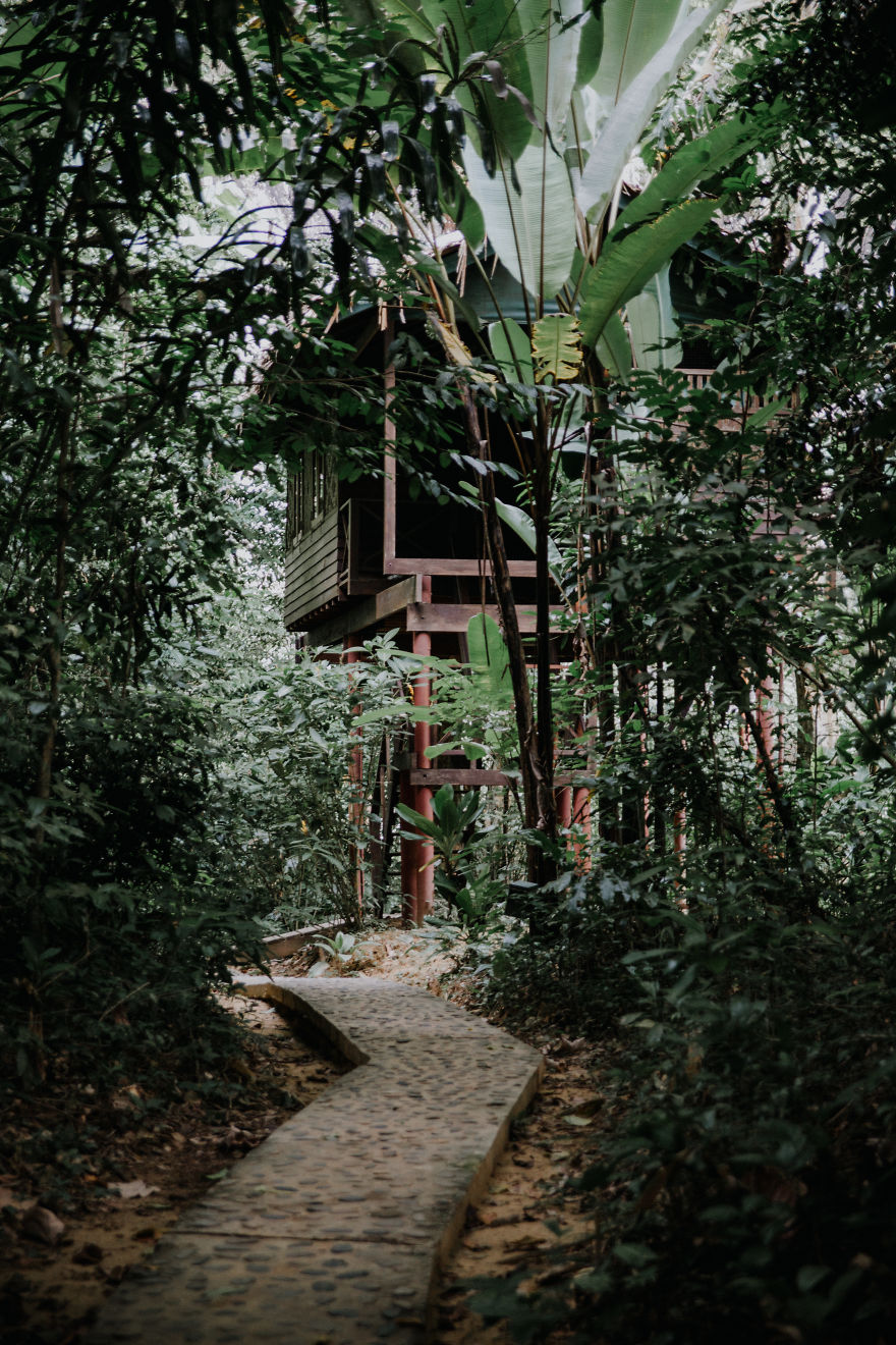 One Year From Travel Bloggers Life One Year From Travel Bloggers Life