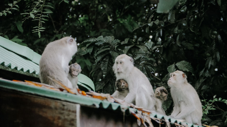 One Year From Travel Bloggers Life One Year From Travel Bloggers Life