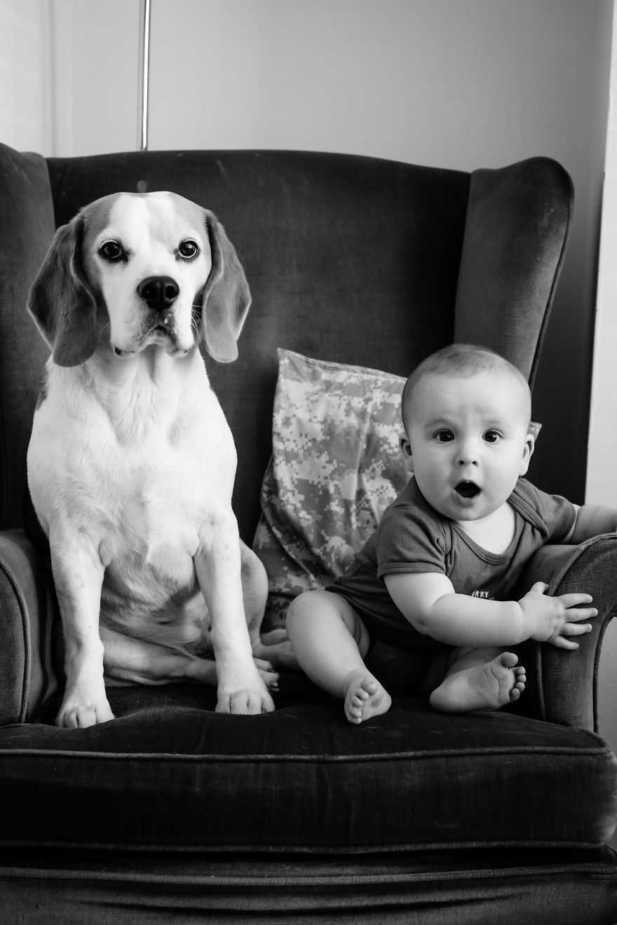 I’ve Taken A Picture Of My Son And Beagle Every Month For The Last Three Years In The Same Chair