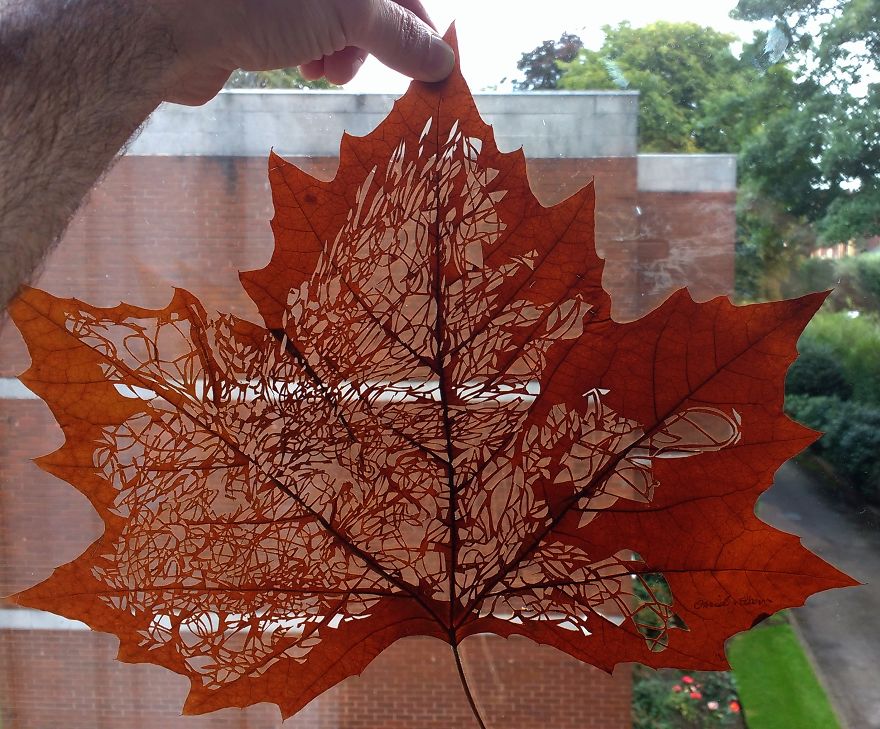 I Create Leaf Art By Carefully Cutting Intricate Scenes (New Pics)
