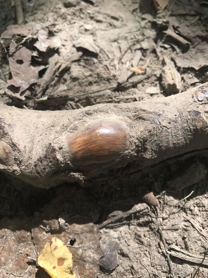 166 Unbelievable Examples Of Things Being Worn Down Over Time 166 Unbelievable Examples Of Things Being Worn Down Over Time