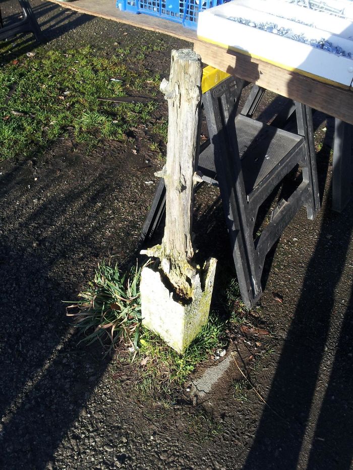 166 Unbelievable Examples Of Things Being Worn Down Over Time 166 Unbelievable Examples Of Things Being Worn Down Over Time