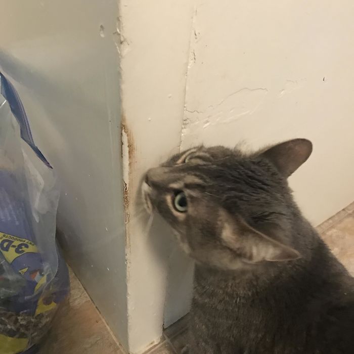 166 Unbelievable Examples Of Things Being Worn Down Over Time 166 Unbelievable Examples Of Things Being Worn Down Over Time