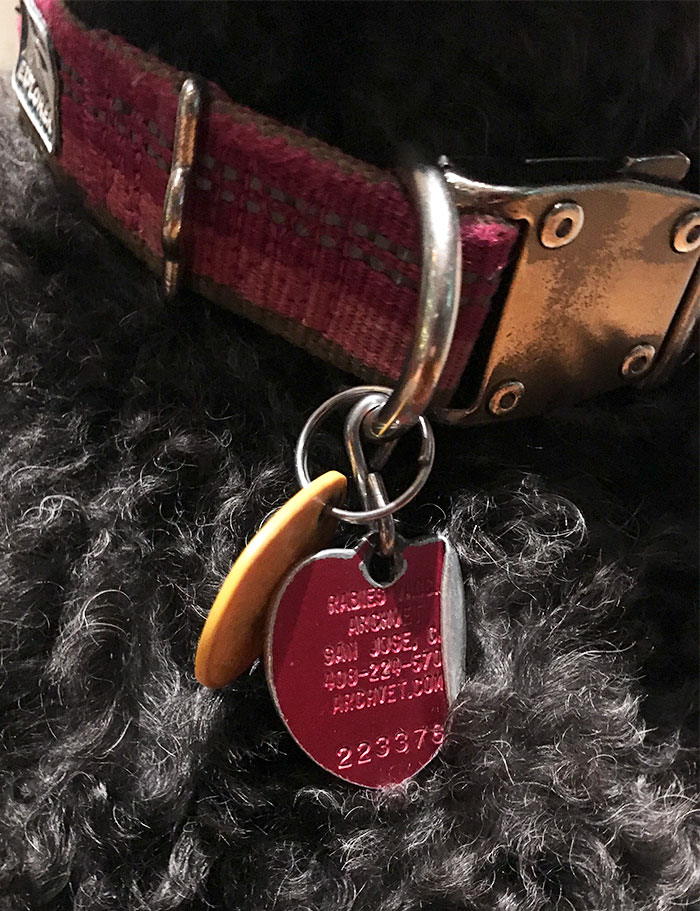 166 Unbelievable Examples Of Things Being Worn Down Over Time 166 Unbelievable Examples Of Things Being Worn Down Over Time