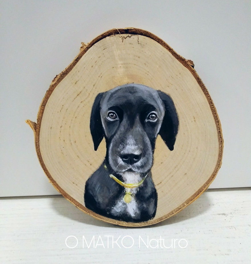 I Paint Animal Portraits On Slices Of Wood