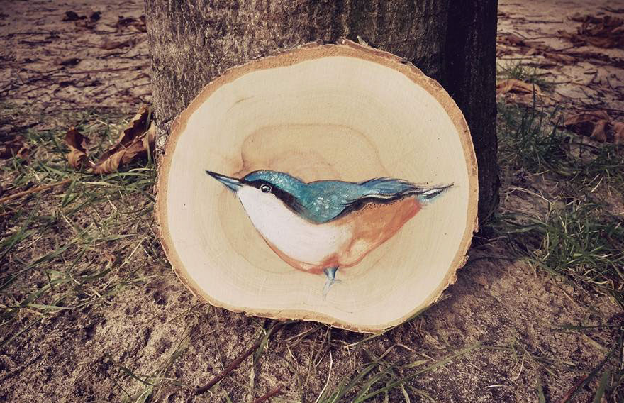 I Paint Animal Portraits On Slices Of Wood
