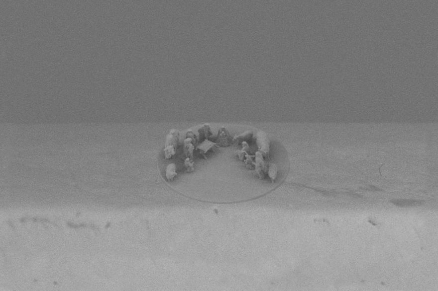 Pope Francis Receives The World&#8217;s Smallest Nativity Scene For Christmas