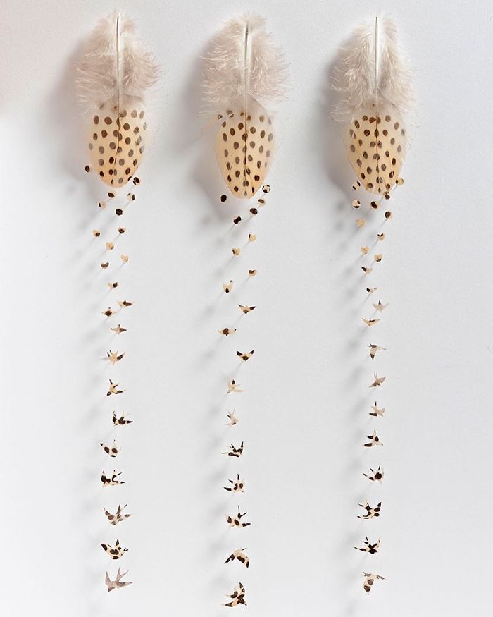 I Use Eye Surgery Scissors And Scalpels To Carve Feathers Into Intricate Art (New Pics) I Use Eye Surgery Scissors And Scalpels To Carve Feathers Into Intricate Art (New Pics)