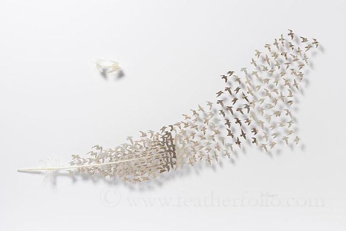 I Use Eye Surgery Scissors And Scalpels To Carve Feathers Into Intricate Art (New Pics) I Use Eye Surgery Scissors And Scalpels To Carve Feathers Into Intricate Art (New Pics)