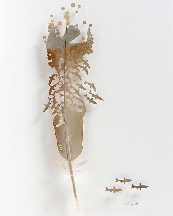 I Use Eye Surgery Scissors And Scalpels To Carve Feathers Into Intricate Art (New Pics) I Use Eye Surgery Scissors And Scalpels To Carve Feathers Into Intricate Art (New Pics)