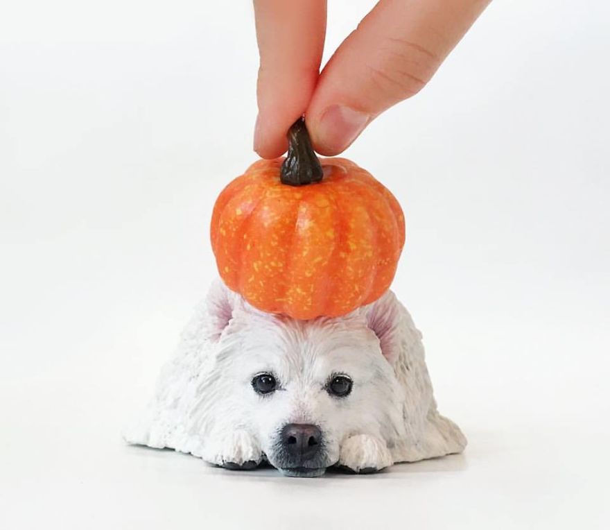 This Artist Makes Replicas Of Pets And The Result Is Lovely This Artist Makes Replicas Of Pets And The Result Is Lovely