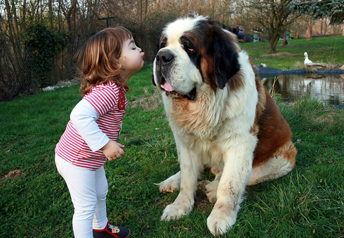 129 Heartwarming Photos Proving That Your Kids Need A Pet 129 Heartwarming Photos Proving That Your Kids Need A Pet
