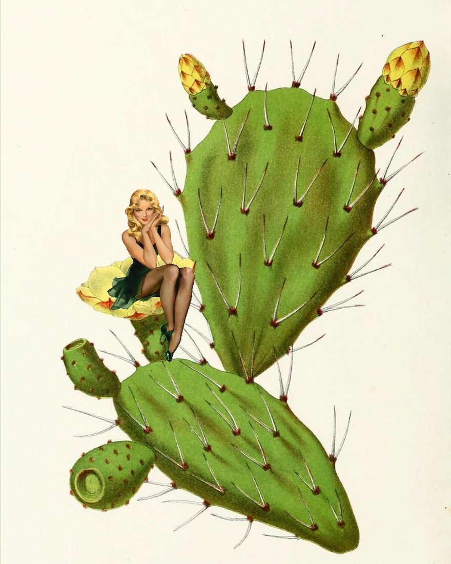 Collages: Come And Take A Look Inside