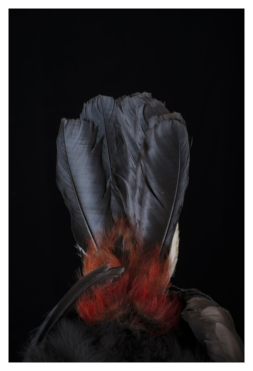 Museum Of Natural History La Paz, Bolivia Museum Of Natural History La Paz, Bolivia