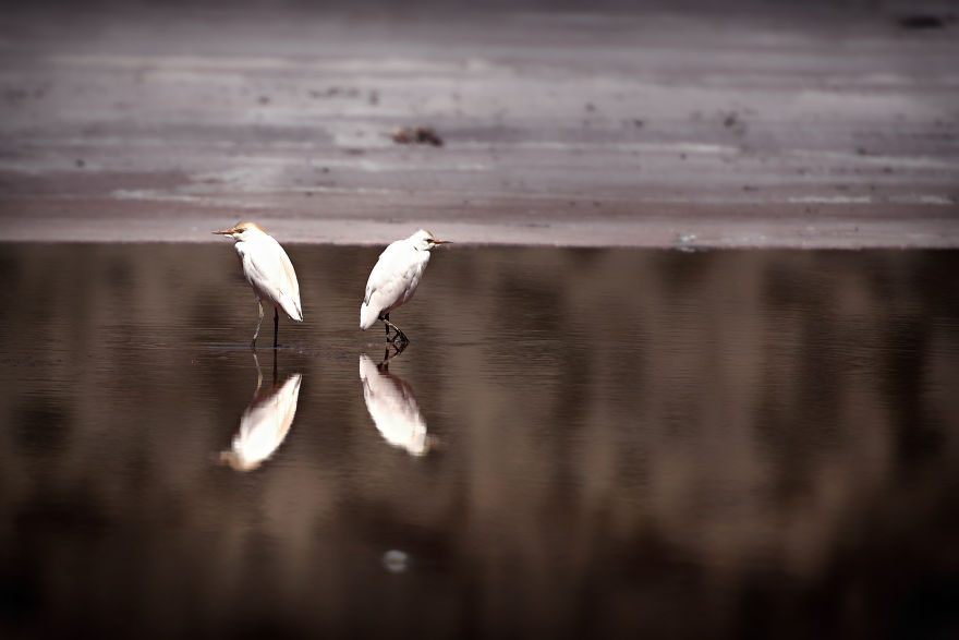 Uyuni Salt Flat And Surrounding Areas Uyuni Salt Flat And Surrounding Areas