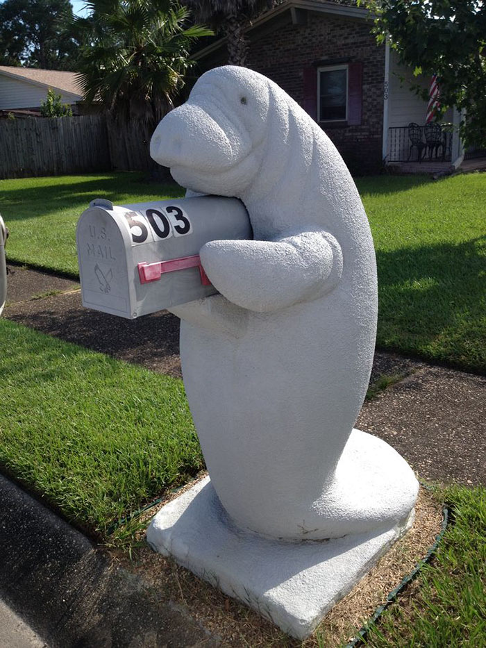 &ldquo;My Neighbor Has This Manatee Mailbox He Dresses Up Throughout The Year And I&rsquo;m Kind Of Obsessed With It&rdquo;
