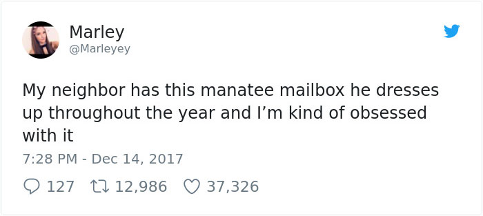 &ldquo;My Neighbor Has This Manatee Mailbox He Dresses Up Throughout The Year And I&rsquo;m Kind Of Obsessed With It&rdquo;