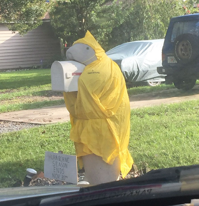 &ldquo;My Neighbor Has This Manatee Mailbox He Dresses Up Throughout The Year And I&rsquo;m Kind Of Obsessed With It&rdquo;