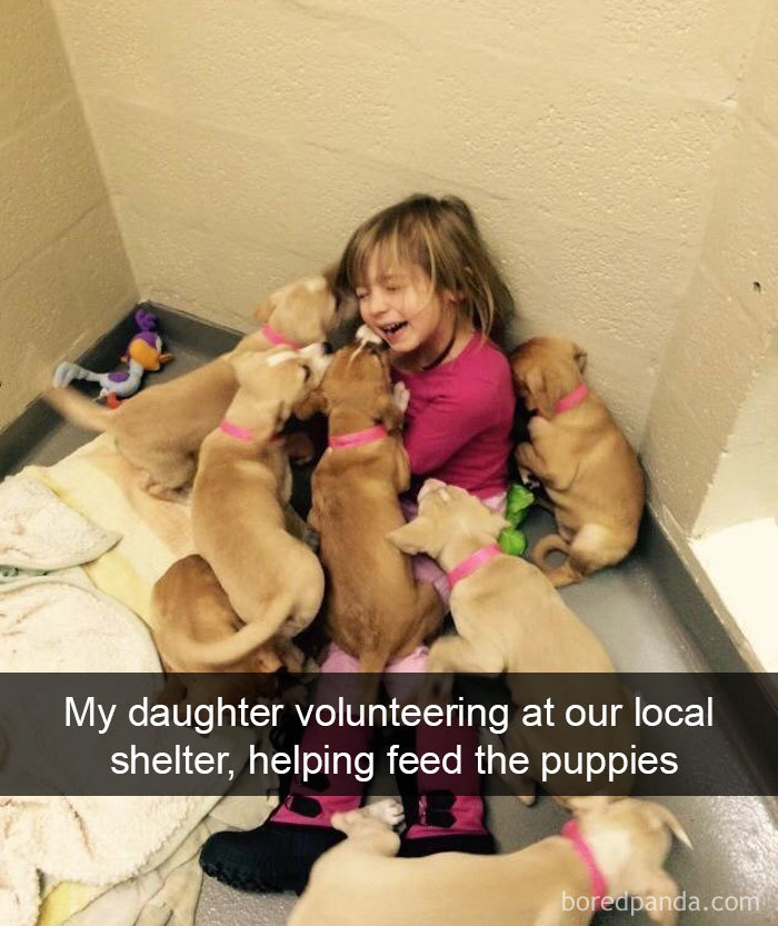 191 Hilarious Dog Snapchats That Are Impawsible Not To Laugh At (Part 4)