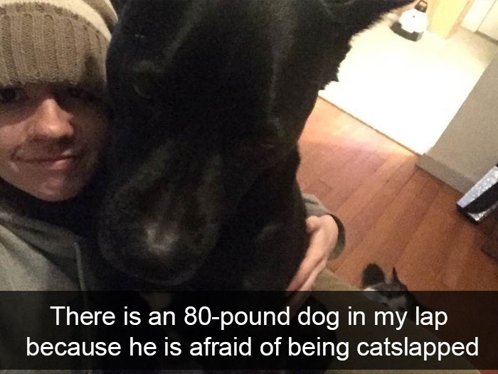191 Hilarious Dog Snapchats That Are Impawsible Not To Laugh At (Part 4)
