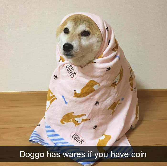 191 Hilarious Dog Snapchats That Are Impawsible Not To Laugh At (Part 4)
