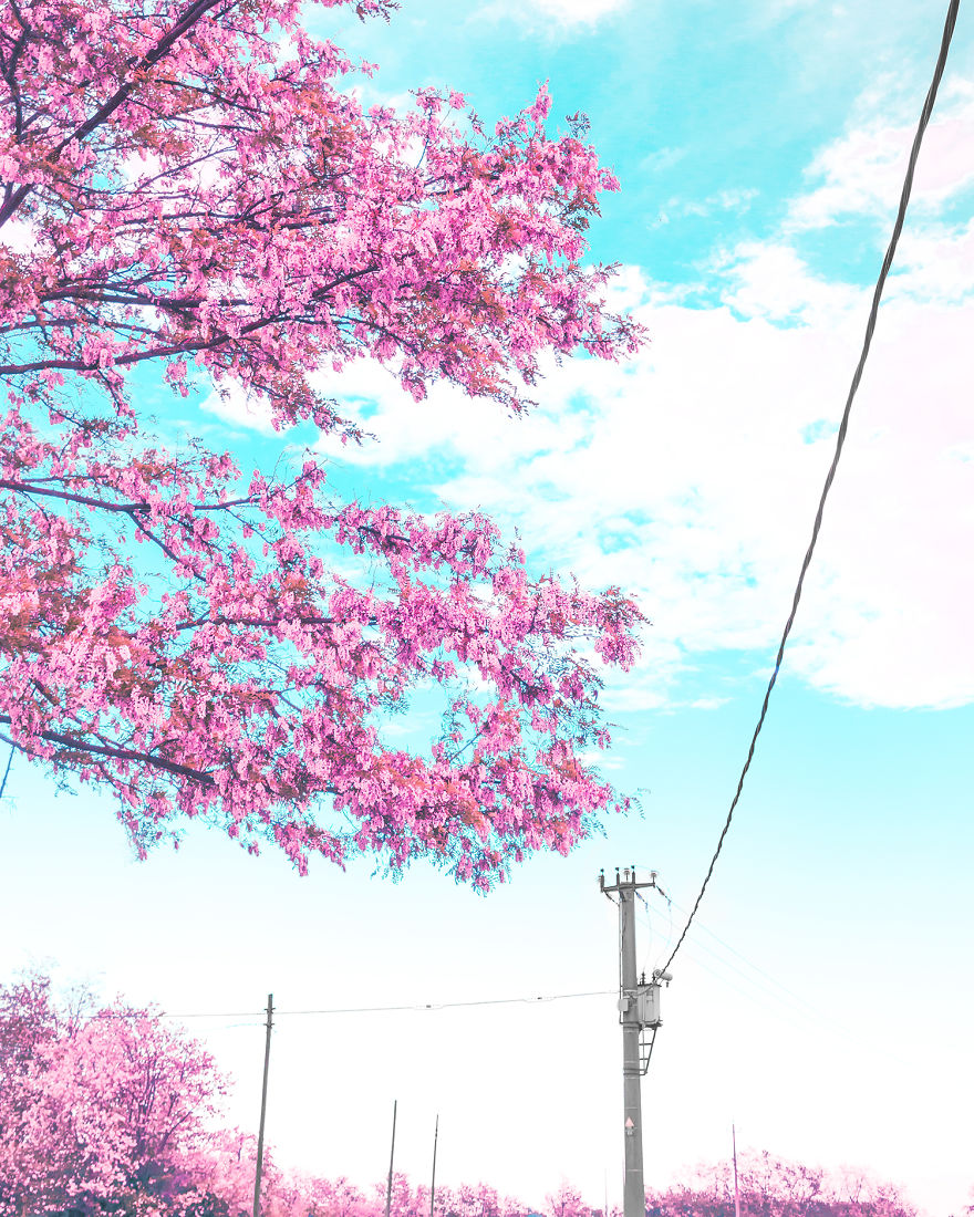 I Take Pictures That Look Like Japanese Anime I Take Pictures That Look Like Japanese Anime