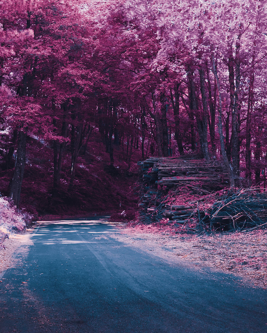 I Take Pictures That Look Like Japanese Anime I Take Pictures That Look Like Japanese Anime