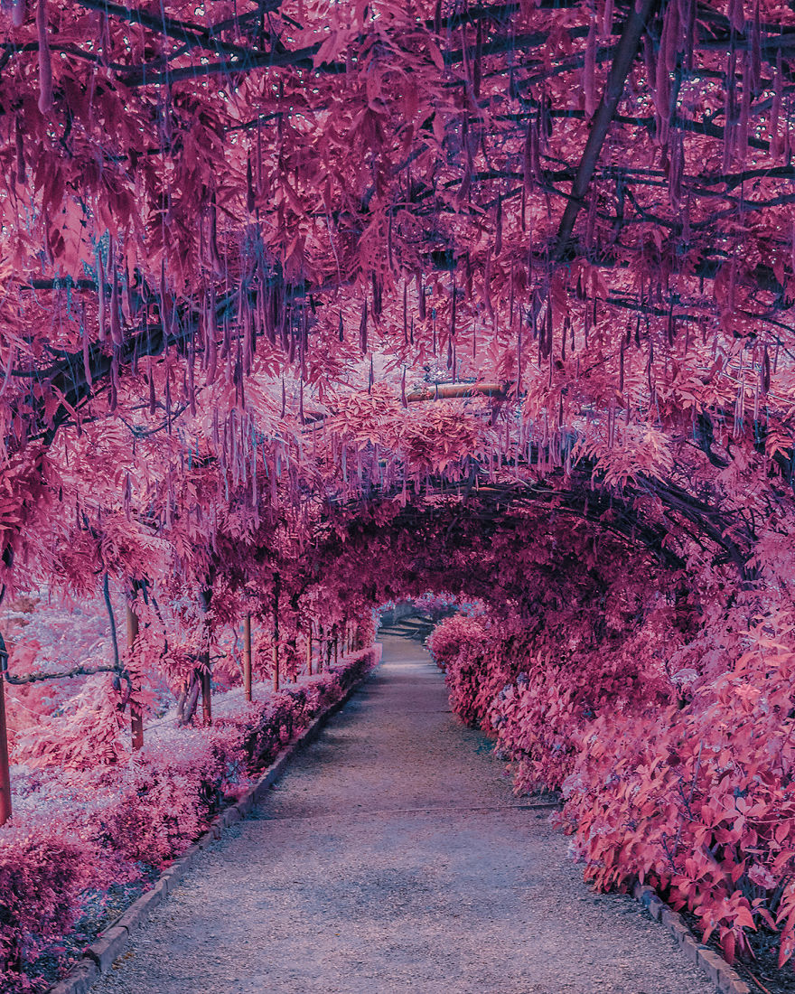 I Take Pictures That Look Like Japanese Anime I Take Pictures That Look Like Japanese Anime