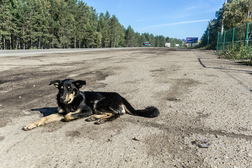 In The Far East &#8211; I Visited Olkhon Island