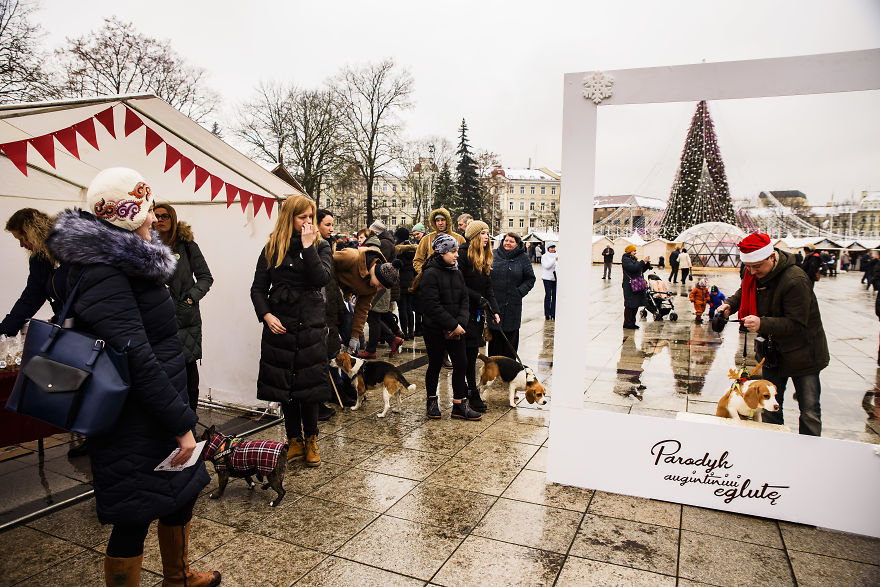 1 Like = 1 Food Serving For Shelter Animals 1 Like = 1 Food Serving For Shelter Animals